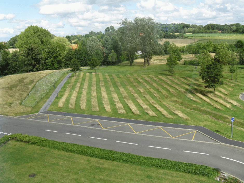 Paysage de campagne
